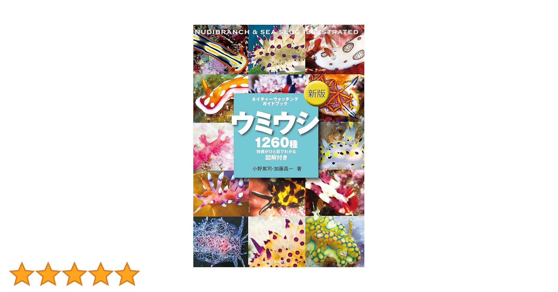 ウミウシ　ガイドブック　洋書　Nudibranch　ウミウシ図鑑 ウミウシガイドブック 洋書 美品 Nudibranchs ウミウシの生態